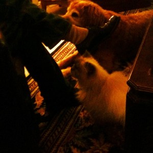 3e2bd0b04fdb11e399761229147967f5_8