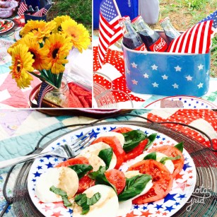 july4thpicnicphotogriddetails