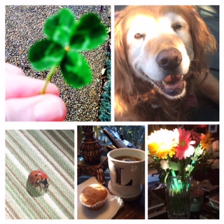 Simply Sunny ~ It's the Little Things in Life...